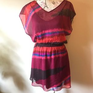 Express Color Striped Dress